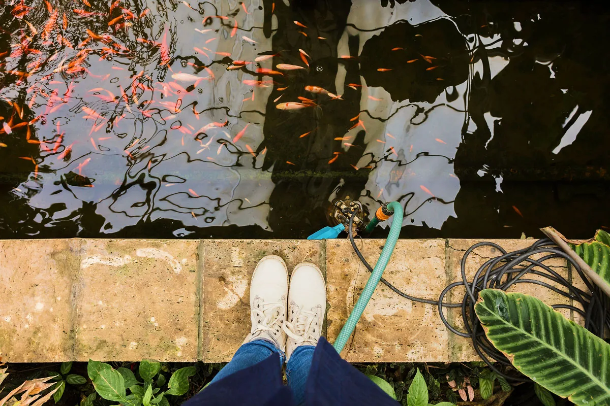5 vanliga problem med naturpool och pool utan klor