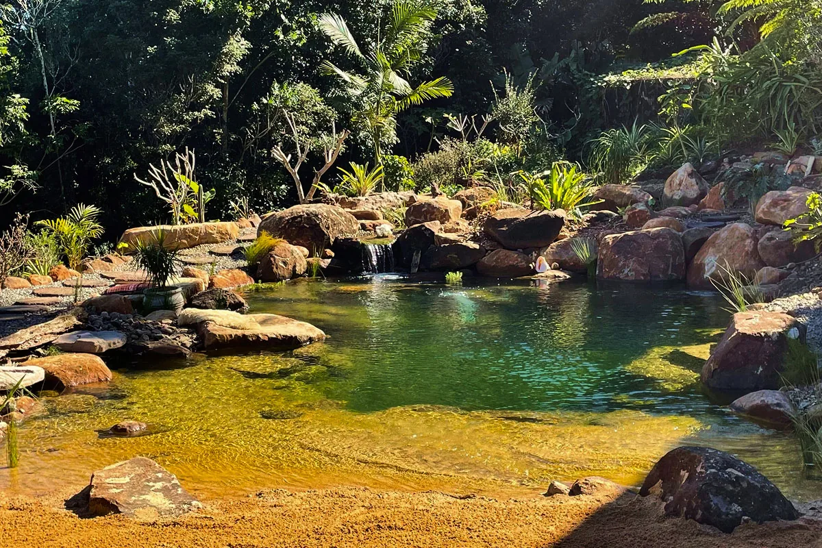 Skillnad mellan naturpool och vanlig pool