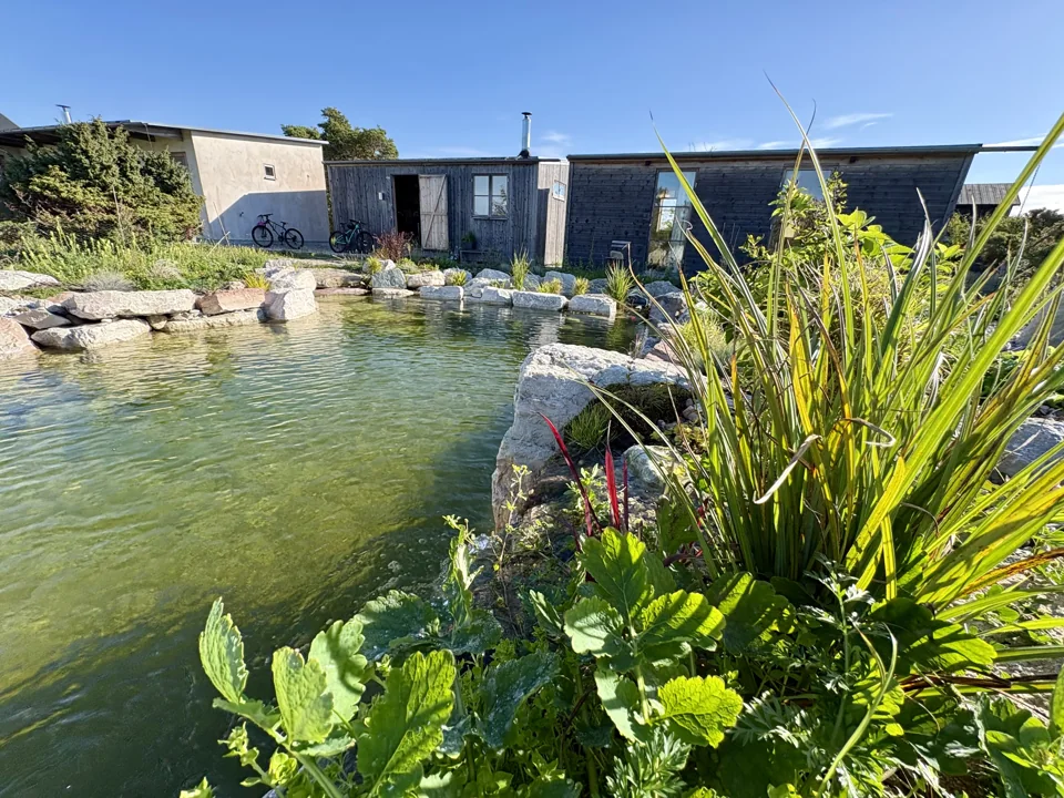 Huset och naturpoolen med växter längs vattenkanten