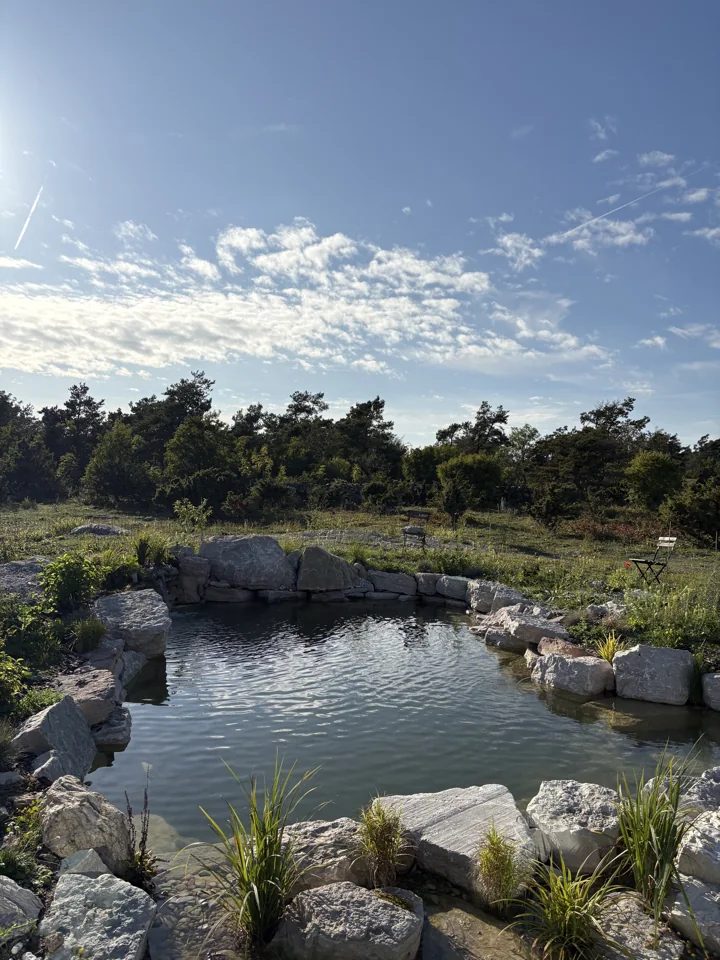 Låg sol över naturpoolen och trädgården