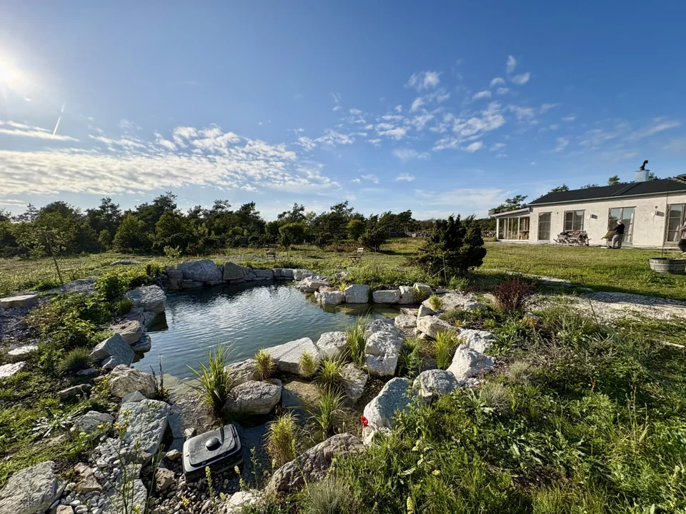 Naturpoolen omgiven av sten och grönska, med huset i bakgrunden