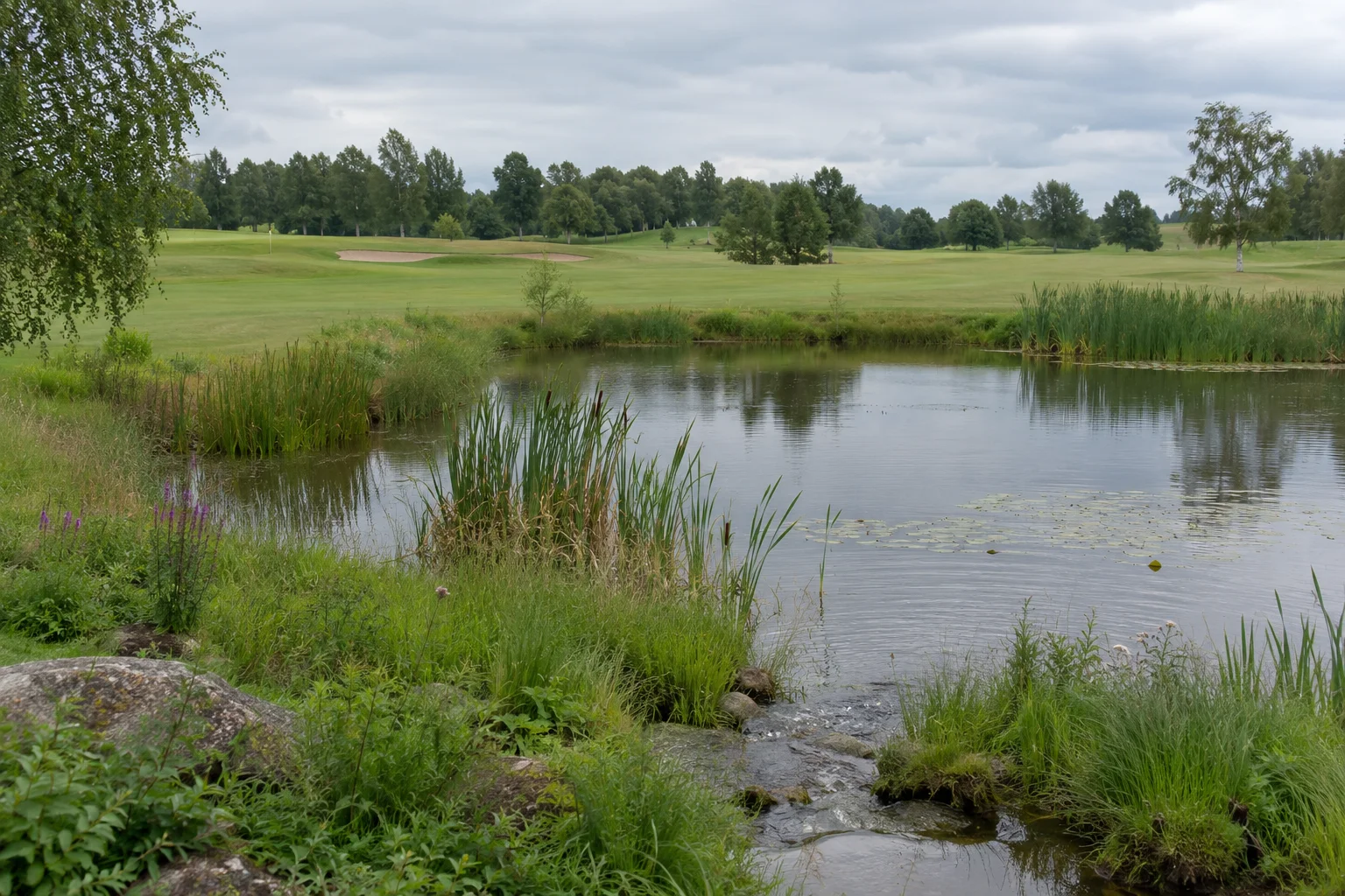 En dam på en golfbane forbundet med en beplantet afvandingskanal.