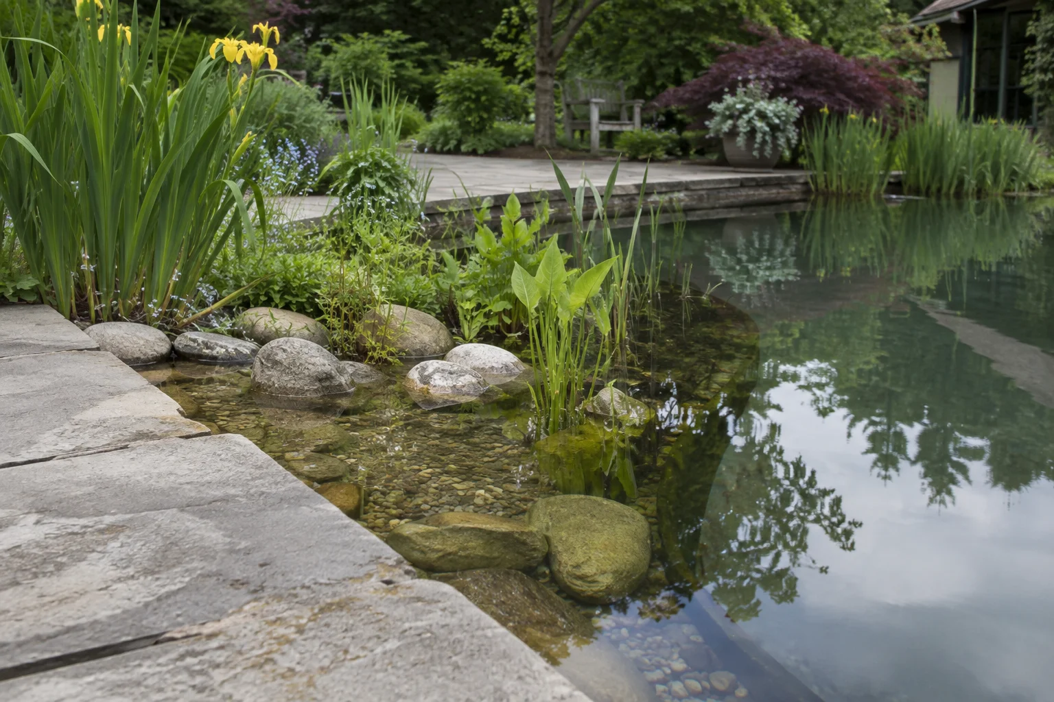 Borde de piedra natural y plantas acuáticas en una piscina natural.