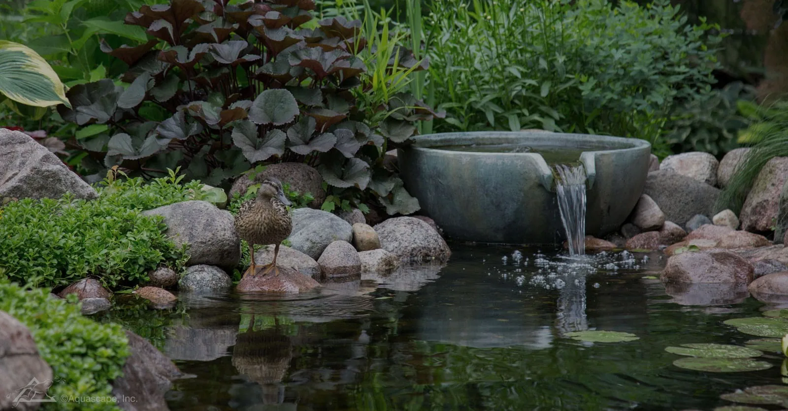 Vattenlandskap med natursten och plantering