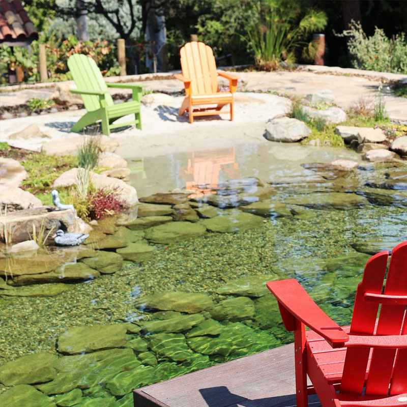 Naturpool med sittplats vid vattnet