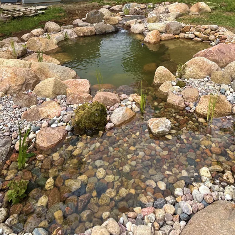 Kompakt naturpool i trädgård