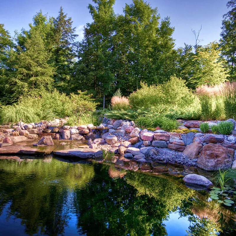 Naturpool med biologisk filtrering